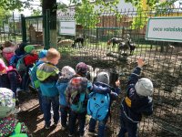 Wycieczka do Bogumina